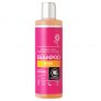 Shampoo Rose 250ml – 87% rabatt