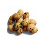 Hel Låda Sjögräsnötter 5kg – 80% rabatt
